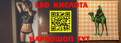 тгк Моздок