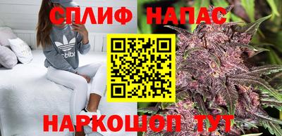 мдпв Можга