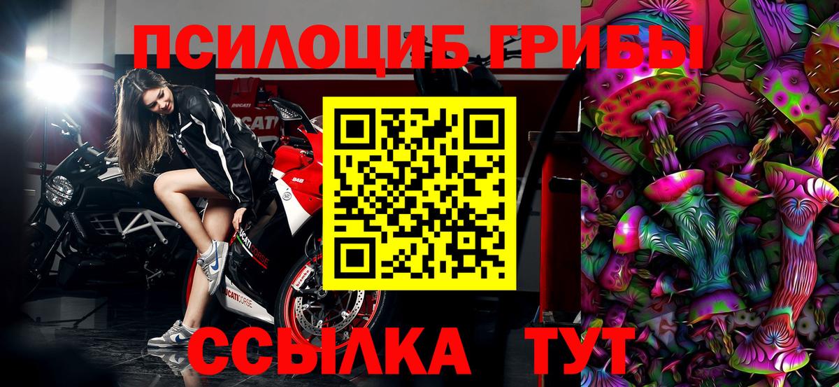 Галлюциногенные грибы MAGIC MUSHROOMS Топки