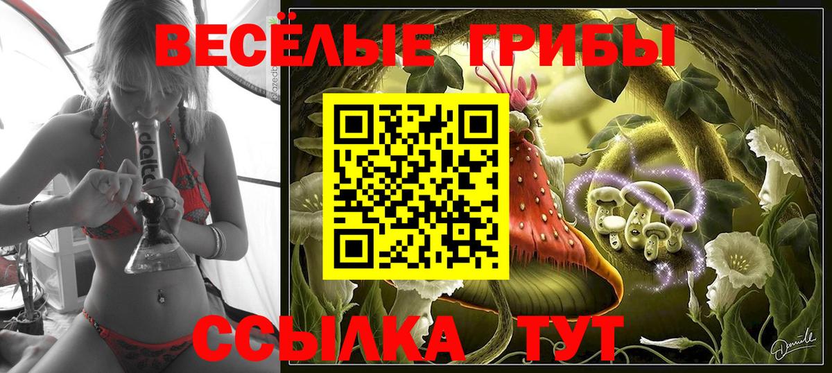 Топки  где продают наркотики  Вход с VPN  Галлюциногенные грибы мухоморы  Псилоцибиновые грибы ЛСД 